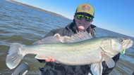 How to Choose the Right Walleye Jig | Linn Creek Outdoors