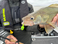 What Jigs to Pack for the Spring Greenback Pilgrimage to Hecla Island