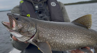 How We Used 1/2 Ounce Jigs for Lake Trout in 80–100 Feet of Water  | Linn Creek Outdoors