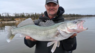 Hecla Island Packing List for Spring Walleye Fishing | Linn Creek Outdoors