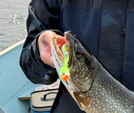 Why We Built the Fall Lake Trout System | Linn Creek Outdoors