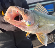 Best Jig Weight for Lake Winnipeg Walleye: 3/8 oz vs 1/2 oz vs 1 oz