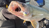 Best Jig Weight for Lake Winnipeg Walleye: 3/8 oz vs 1/2 oz vs 1 oz