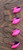 Four Pink and Black Nose Erie Short Shank Jigs shown from the side