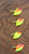 Four Lemon and Pink Splash Erie Short Shank Jigs shown from the side