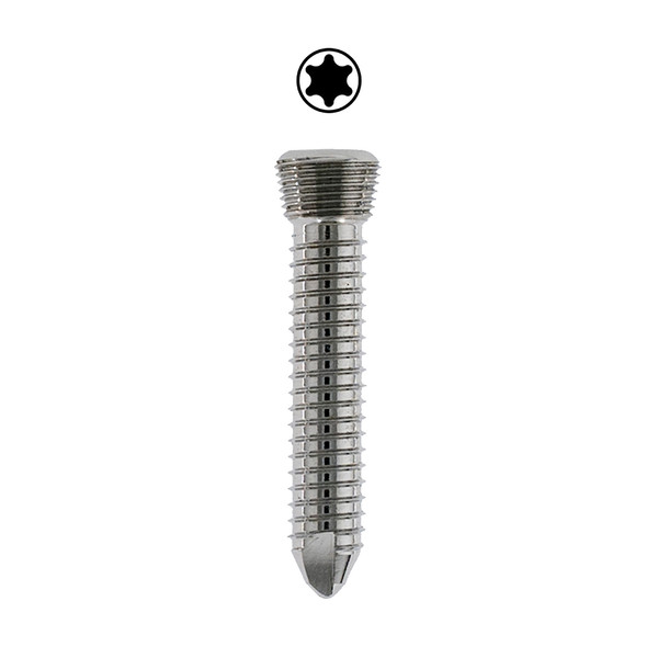 2.4mm DT Locking Screw, Self-tap, T8 Star, Stainless-6mm