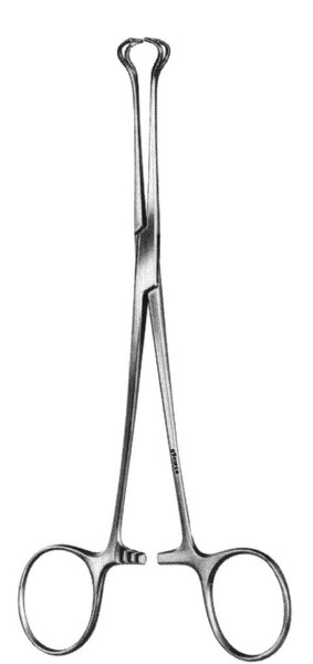 gSource Babcock Forceps 8none