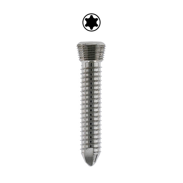 2.0mm DT Locking Screw, Self-tap, T6 Star, Stainless-6mm