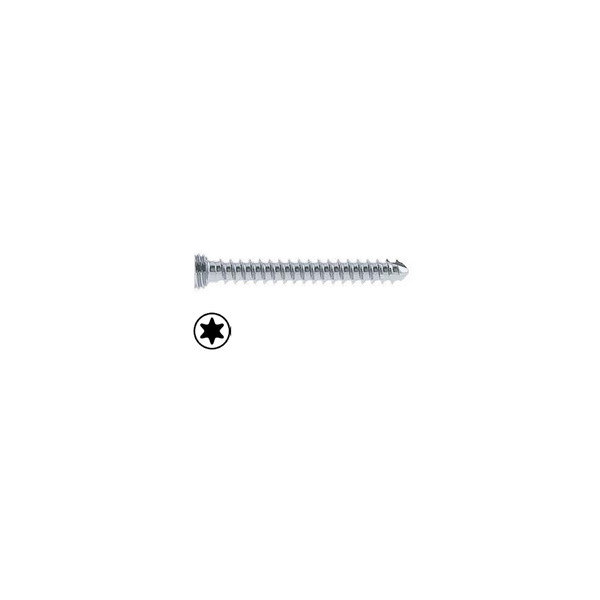 2.0mm x 6mm SS Locking Screw, Star Drive T6