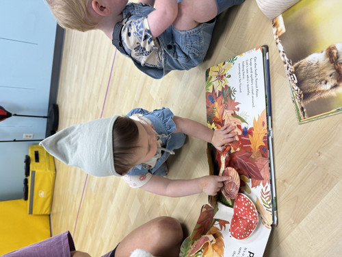 Nature Newbies Class