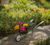 Heritage Wheelbarrow- Liane