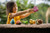 Butterfly Natural Rubber Teether, Rattle & Bath Toy