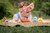 Butterfly Natural Rubber Teether, Rattle & Bath Toy