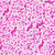 Glitter Gel