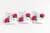 Rosettes Clip Set
