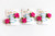Rosettes Clip Set