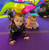 Tot Gym 5-14 months