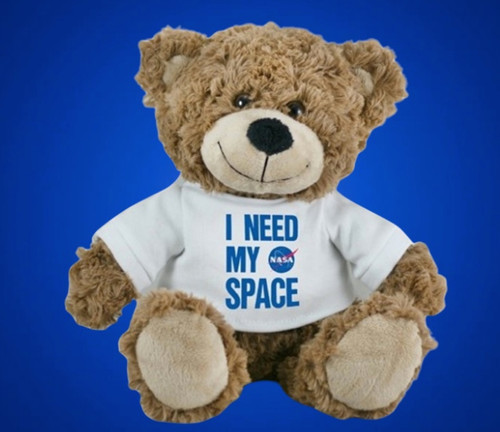 I Need My Space Bear