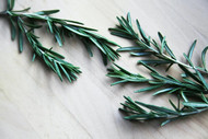 Which Rosemary Is Best for Hair? Some Types Work Better Than Others