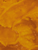 Batana Oil 