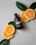 Orange Sweet Essential Oil