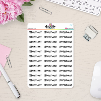 Appointment  Script Vinyl Planner Stickers - S462