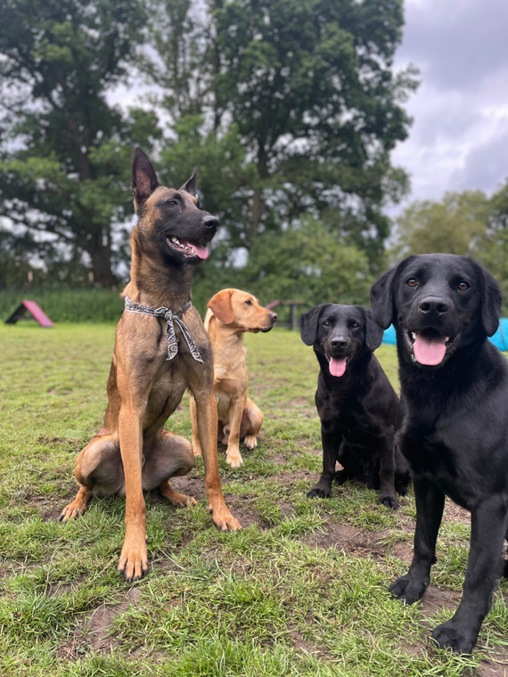 2 Week Residential Training