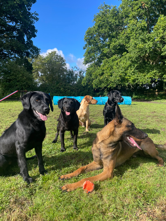 3 week Residential Training