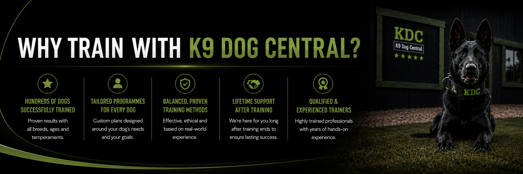 hampshire dog training