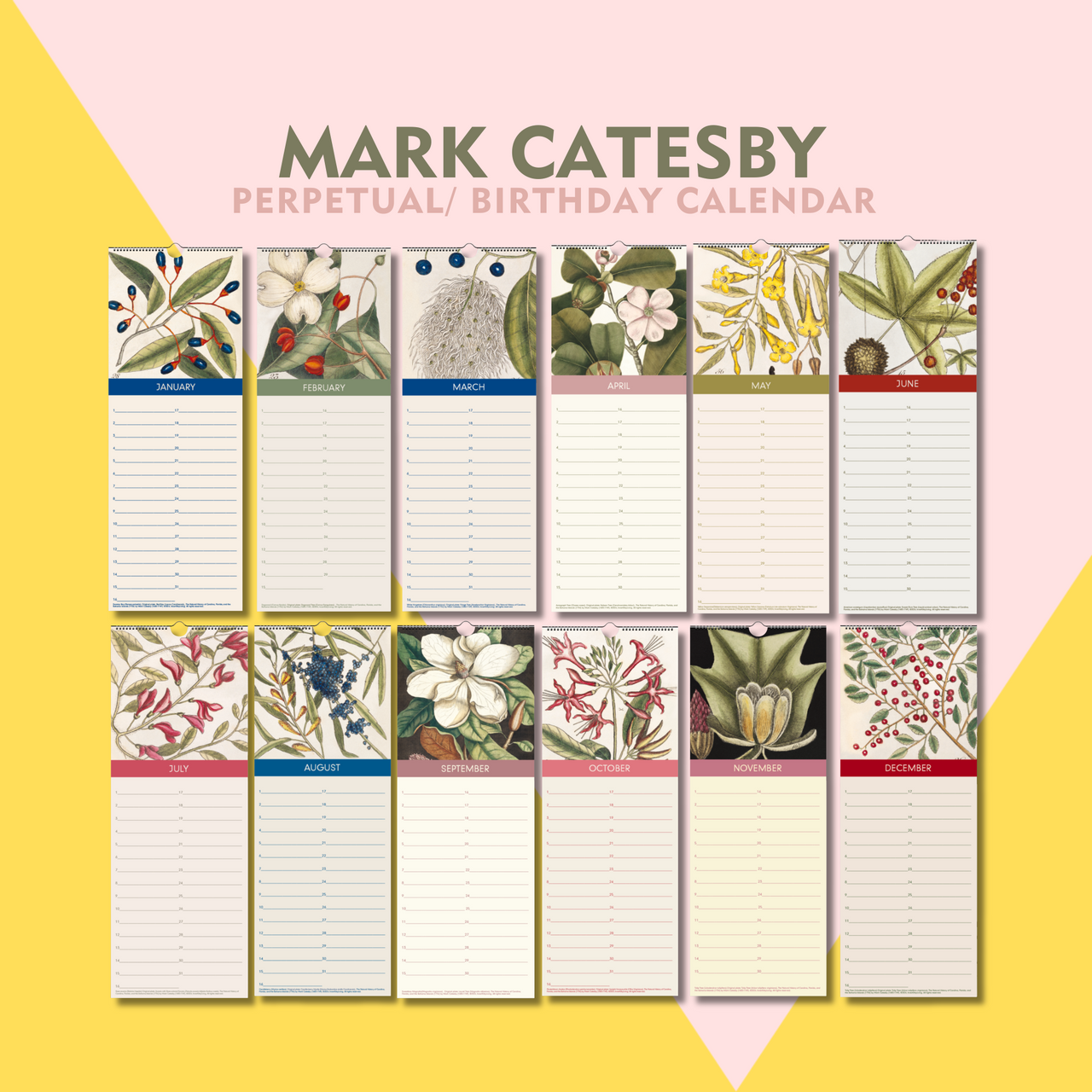 Mark Catesby