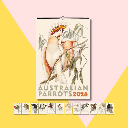 Australian Parrots 2026 Wall Calendar (US/Canada version) Australian Parrots 2026 Wall Calendar (US/Canada version)
