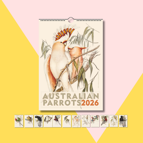 Parrots of Australia 2026 Wall Calendar | John & Elizabeth Gould | EU, UK, AU, NZ & International Version Parrots of Australia 2026 Wall Calendar | John & Elizabeth Gould | EU, UK, AU, NZ & International Version