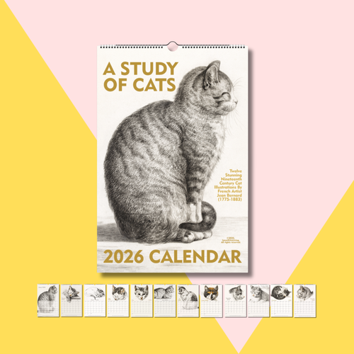 A Study of Cats 2026 Calendar (US & CA) A Study of Cats 2026 Calendar (US & CA)
