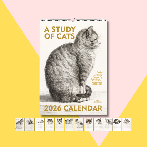 Jean Bernard 2026 Vintage Cat Calendar | EU, UK, AU, NZ & International Version Jean Bernard 2026 Vintage Cat Calendar | EU, UK, AU, NZ & International Version