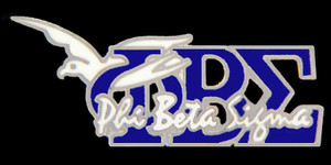 Sigma New Image Lapel Pin