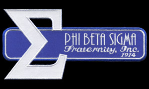 Sigma Retro Satin Emblem - 7"W 