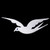 Sigma Dove Emblem - 2"T