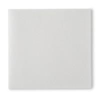 Bedside-Care EasiCleanse Soft Pack Unscented Personal Cleansing Wipe
