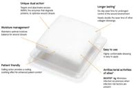 Biostep Ag collagen dressing with silver box of 10 units front view