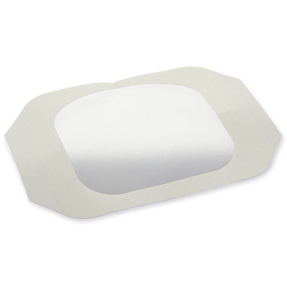 Dermaview II Transparent Film Frame, 10 Pack 6" X 8.375"