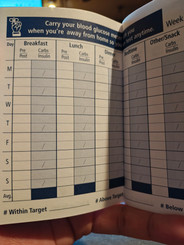 OneTouch Log Book By Lifescan - 30 Weeks Old Discontinued Logbook