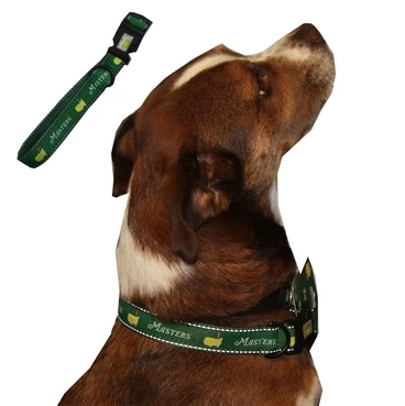 Game Master Dog Collar