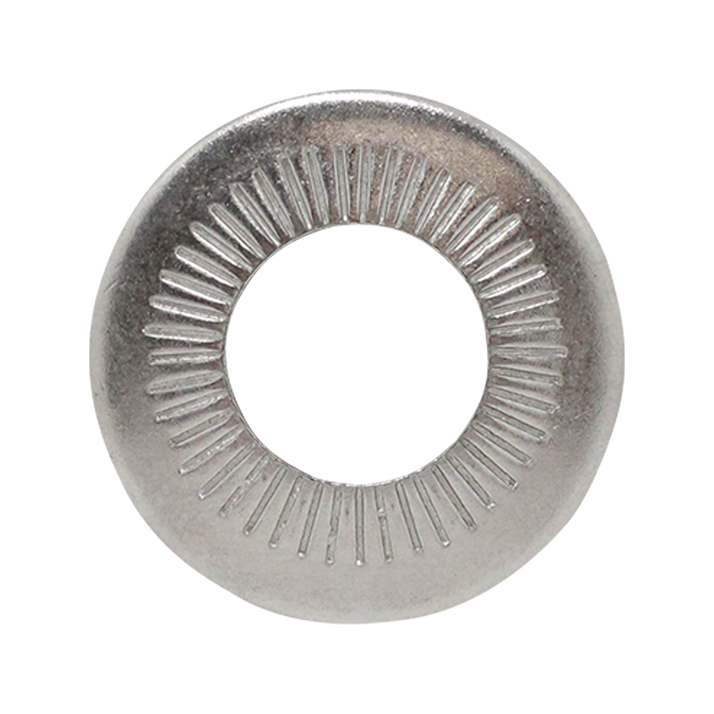 Lotto 25 Rondelle Coniche / A Molla / Belleville In Acciaio Inox A2 Per M10 (10mm) - Rivercity Fastener