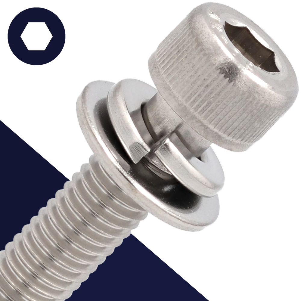 M5X0.8 Bolt Socket Head Stainless + Flat/Lock Washer Stainless