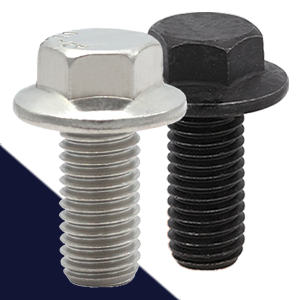 Stainless Flange Products