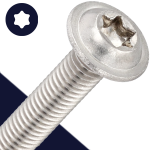 Flange Button Head