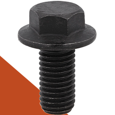 Black Stainless Bolts