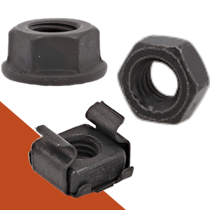 Black Stainless Nuts