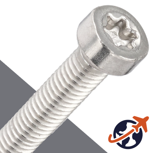 Torx Socket Head