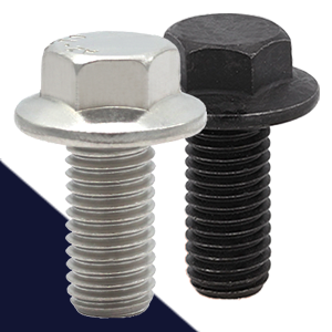 Hex Flange Stainless